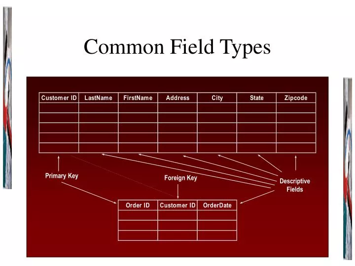 common field types
