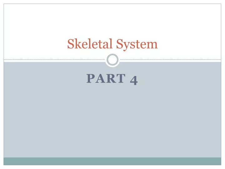 skeletal system