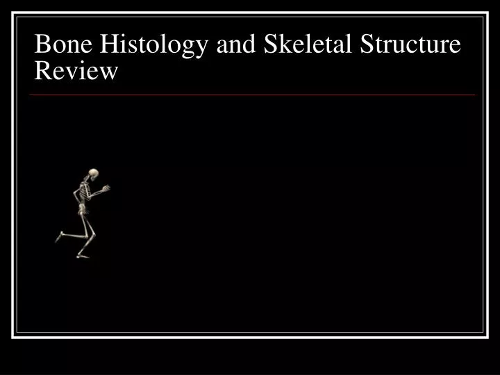 bone histology and skeletal structure review