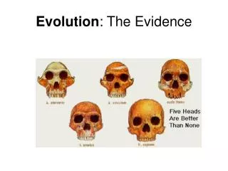 Evolution : The Evidence