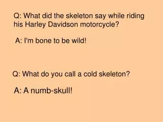 Q: What did the skeleton say while riding his Harley Davidson motorcycle?