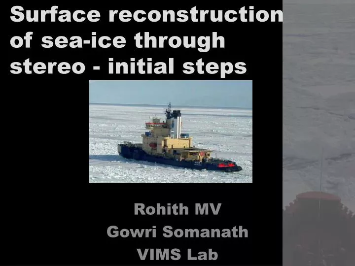 surface reconstruction of sea ice through stereo initial steps