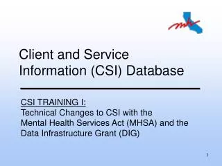 Client and Service Information (CSI) Database