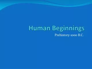 human beginnings