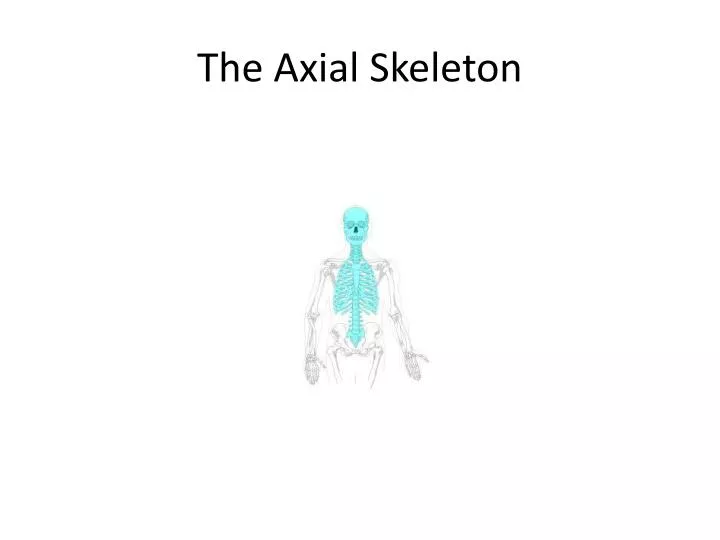 Ppt The Axial Skeleton Powerpoint Presentation Free Download Id6450265 8340
