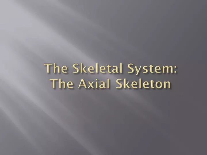 the skeletal system the axial skeleton