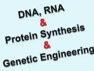 DNA, RNA &amp; Protein Synthesis &amp; Genetic Engineering