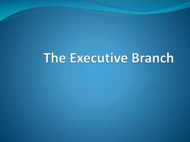 the executive branch