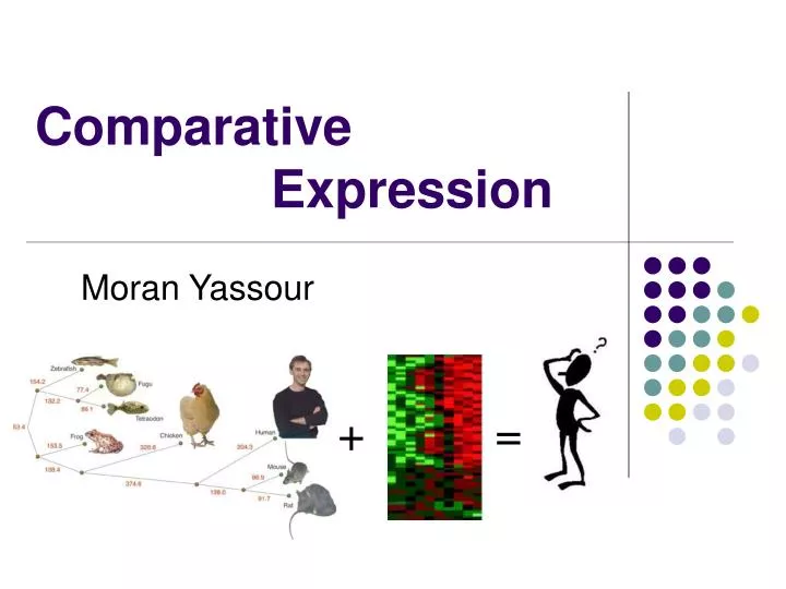 comparative expression