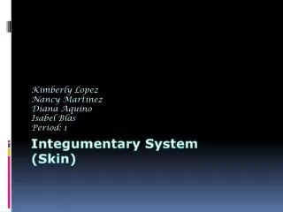 Integumentary System (Skin)