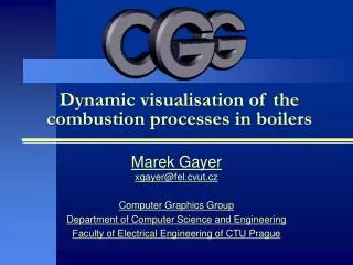 Dynamic visualisation of the combustion processes in boilers