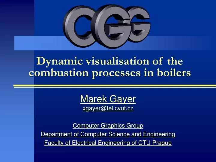 dynamic visualisation of the combustion processes in boilers