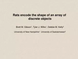 Rats encode the shape of an array of discrete objects