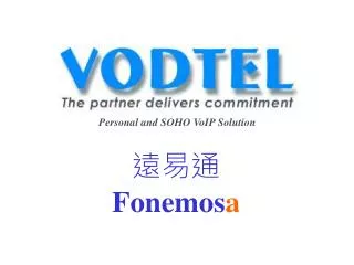 Personal and SOHO VoIP Solution