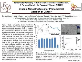 Texas State University PREM : Center on Interfaces in Materials.