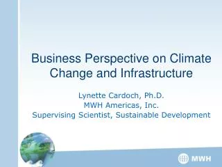 Business Perspective on Climate Change and Infrastructure