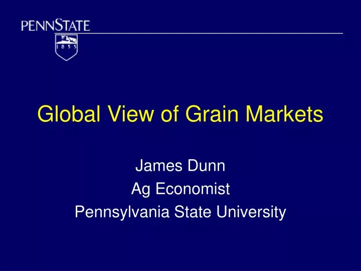 global view of grain markets
