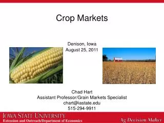 Crop Markets