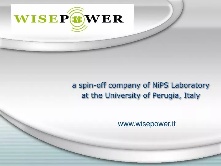 a spin off company of nips laboratory a t the university of perugia italy