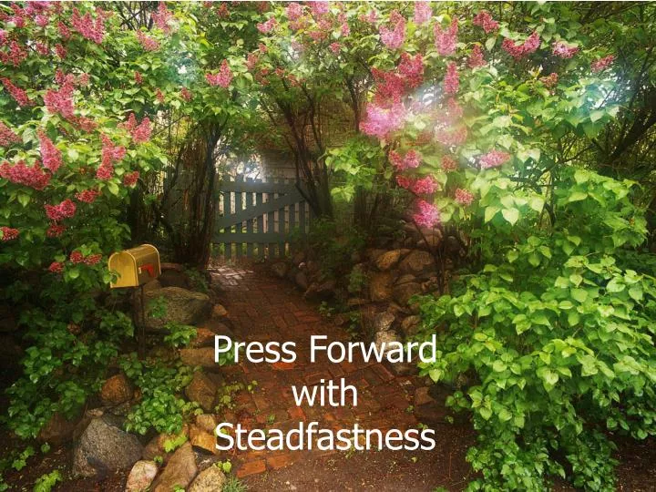 press forward with steadfastness
