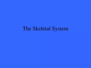 The Skeletal System