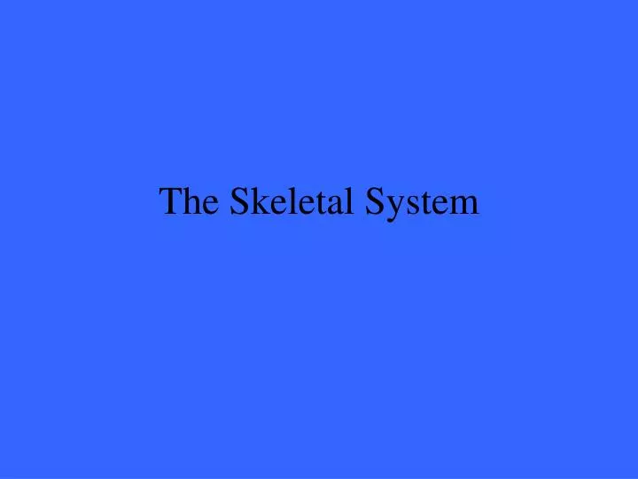 the skeletal system