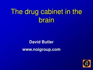 The drug cabinet in the brain