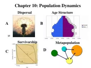 Chapter 10: Population Dynamics