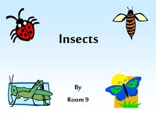 Insects