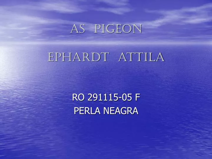 as pigeon ephardt attila