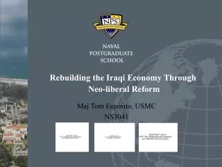 Rebuilding the Iraqi Economy Through Neo-liberal Reform