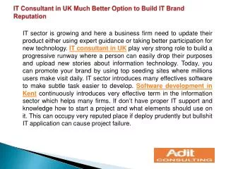 IT Consultant in UK Much Better Option to Build IT Brand Rep