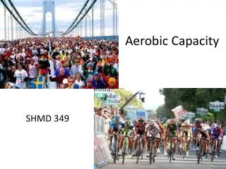 Aerobic Capacity