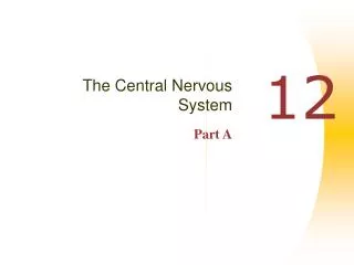 The Central Nervous System Part A