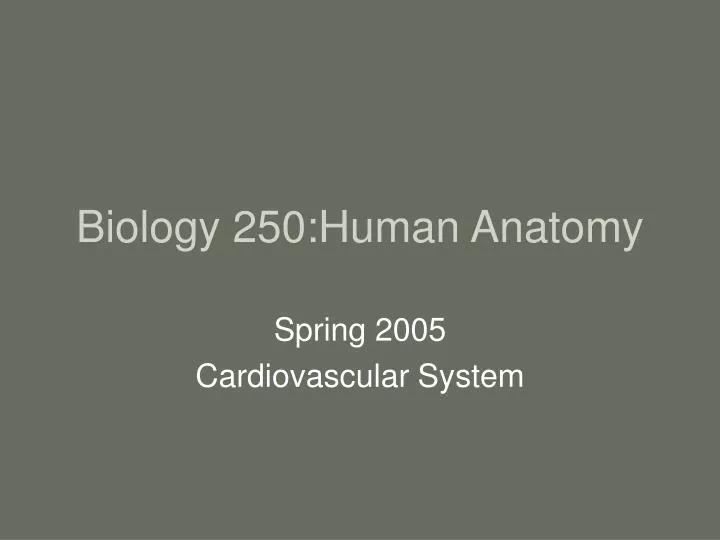 biology 250 human anatomy