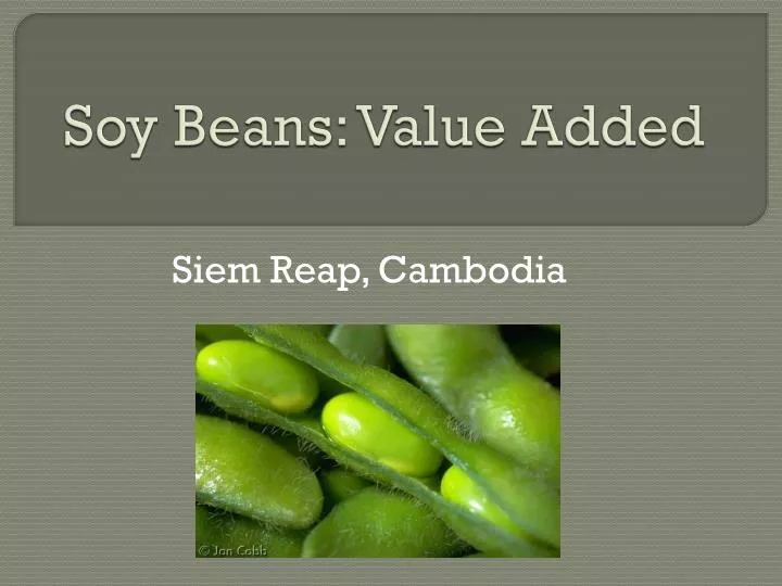 soy beans value added