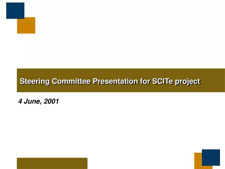 steering committee presentation for scite project