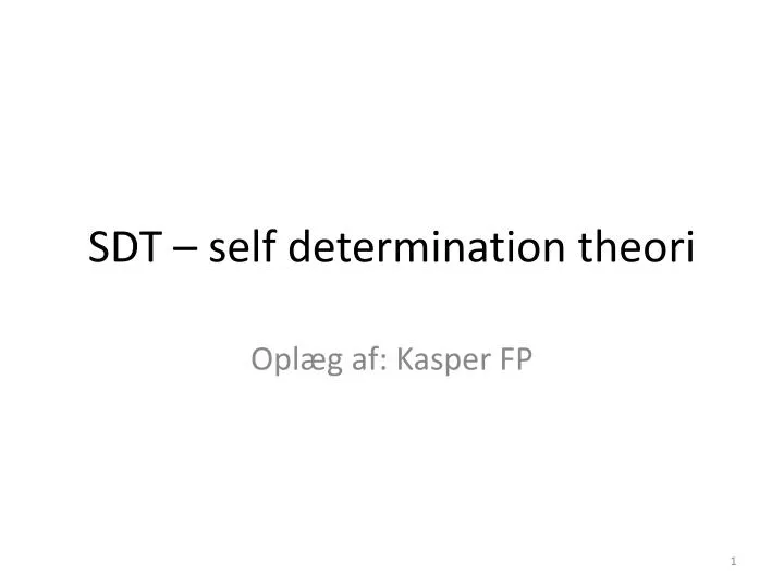 sdt self determination theori