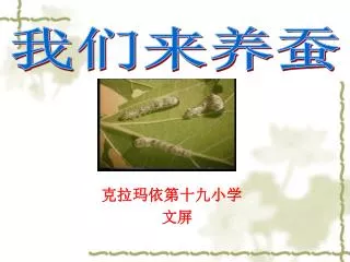 slide1