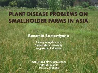 PLANT DISEASE PROBLEMS ON SMALLHOLDER FARMS IN ASIA