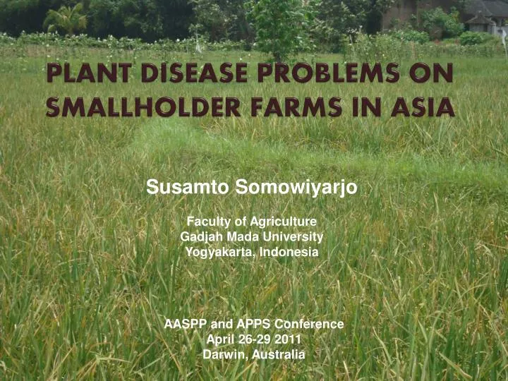 plant disease problems on smallholder farms in asia
