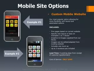 Mobile Site Options