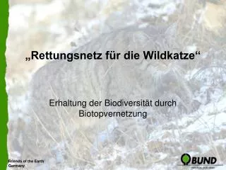 rettungsnetz f r die wildkatze