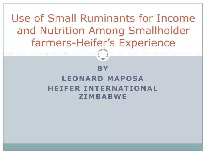 use of small ruminants for income and nutrition among smallholder farmers heifer s experience