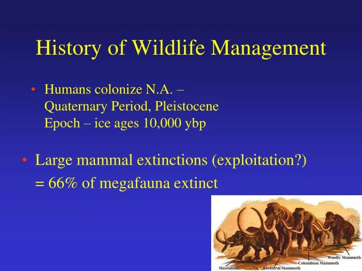 history of wildlife management