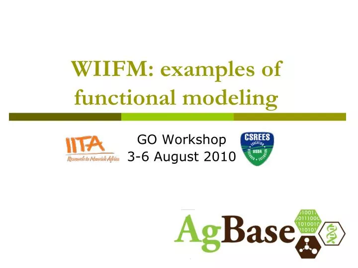 wiifm examples of functional modeling