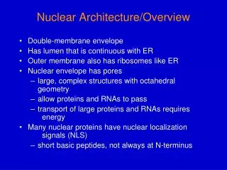 Nuclear Architecture/Overview