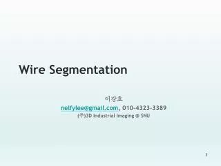 Wire Segmentation