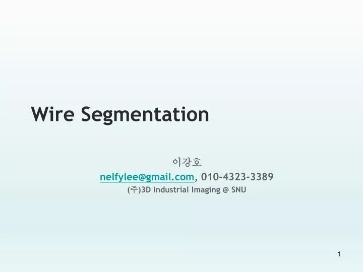 wire segmentation