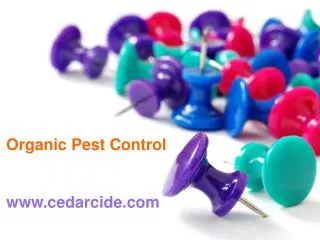 Best Yet cedarcide pest control bed bugs Killer spray Pets